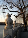 IMG_0428 (Medium)