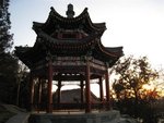 IMG_0437 (Medium)