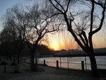 IMG_0458 (Medium)