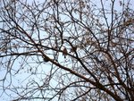 IMG_0460 (Medium)