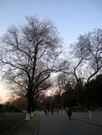 IMG_0466 (Medium)