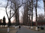 IMG_0468 (Medium)