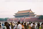 F1000010 (Large)