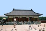 F1000019 (Large)