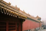 F1030030 (Large)