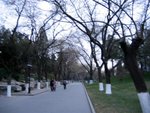 Photo 582 (Large)