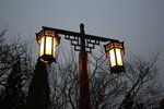 IMG_1243 (Medium)