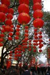 IMG_1107 (Large)