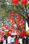 IMG_1117 (Large)