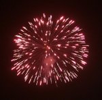 IMG_1186 (Large)