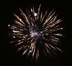IMG_1262 (Large)
