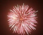 IMG_1264 (Large)