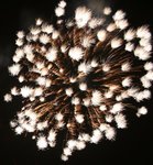 IMG_1269 (Large)