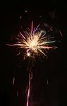 IMG_1270 (Large)