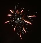 IMG_1276 (Large)