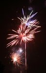 IMG_1286 (Large)