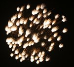 IMG_1299 (Large)