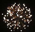 IMG_1300 (Large)