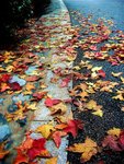 IMG_0004 (Large)