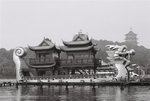 F1040016 (Large)