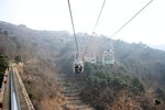 IMG_1282 (Medium)