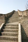 IMG_1299 (Medium)