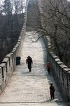 IMG_1340 (Medium)