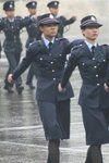 IMG_5435 (Large)