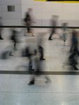 IMG_0109 (Large)