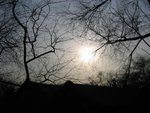 Photo 488 (Large)