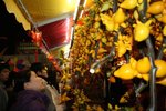 IMG_0984 (Large)