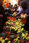 IMG_0990 (Large)