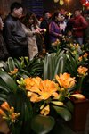 IMG_1003 (Large)