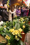 IMG_1005 (Large)