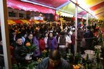 IMG_1009 (Large)
