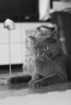 IMG_1467