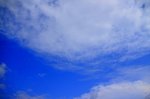 IMG_0916