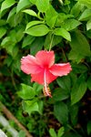 IMG_0917