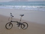 2009_03150279
