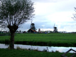 DSCF0722
