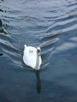 DSCF0369