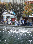 DSCF0402