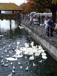 DSCF0403