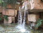 DSCF1568