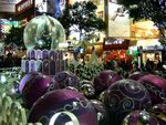 DSCF0107
