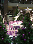 DSCF0113
