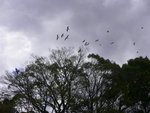 P1040238