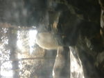 P1040271
