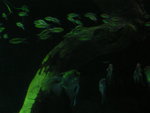 P1040292