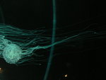 P1040355